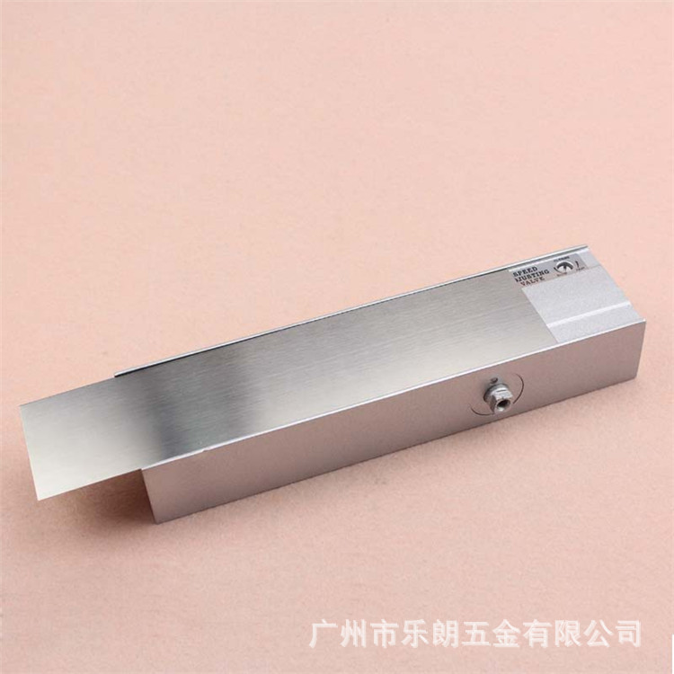 91成人抖音91抖音下载导航RDC-08 闭门器（可配滑轨式摇臂）